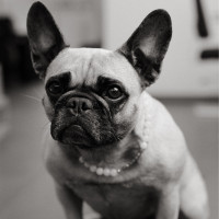 Wilma